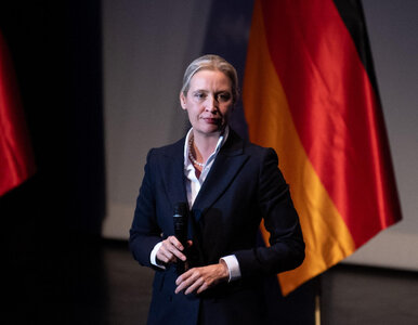 Miniatura: AfD już puszczają hamulce. Przedstawili...