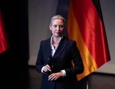 Miniatura: AfD już puszczają hamulce. Przedstawili...