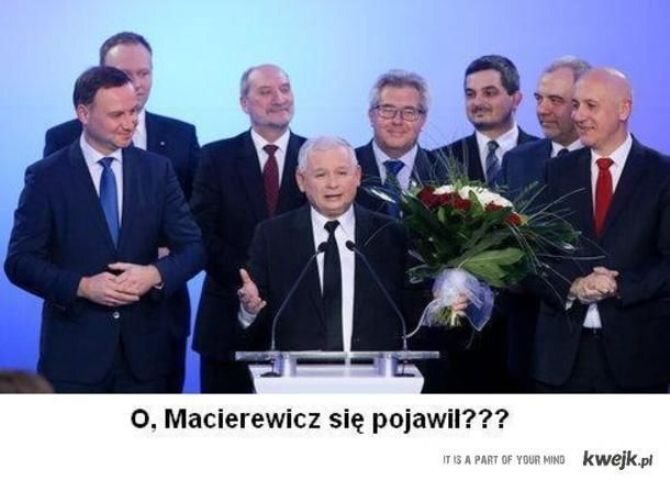 fot. kwejk.pl