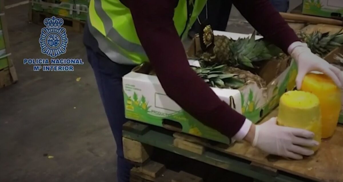 Policja przechwytuje gigantyczny transport kokainy w ananasach 