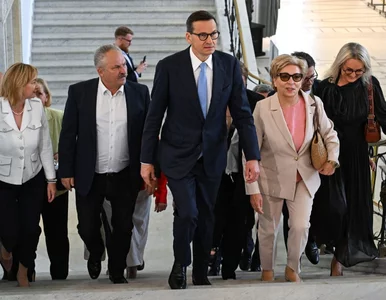 Miniatura: Morawiecki tworzy nowy ruch. Sondaż...
