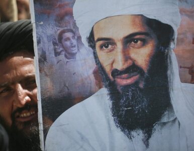 Miniatura: Al-Kaida potwierdza: bin Laden nie żyje