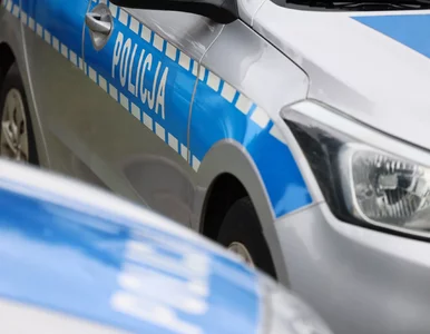 Miniatura: Policjanci zostali wezwani do...
