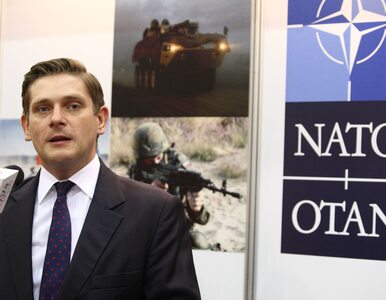 Miniatura: Wiceszef MON ujawnia: przed szczytem NATO...