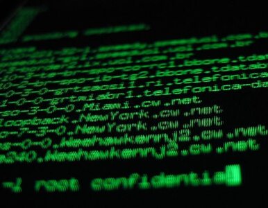 Miniatura: Islamscy hakerzy atakują polski portal