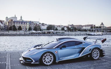 Arrinera Hussarya