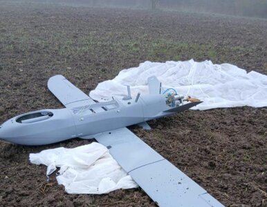 Miniatura: Seria incydentów z dronami. Turcja...