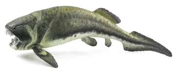 Dunkleosteus terrelli 