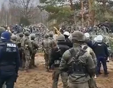 Miniatura: Granica Polska-Białoruś. Służby udaremniły...