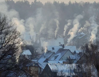 Miniatura: W całej Polsce posypią się mandaty?...