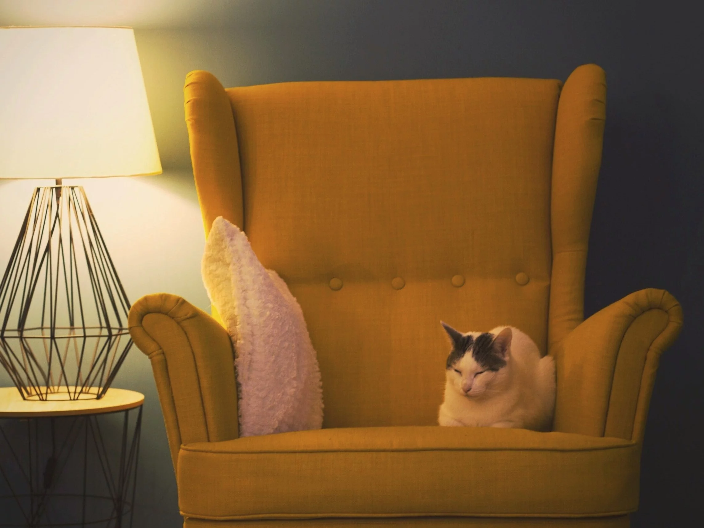 Najtrudniejszy z trudnych QUIZ na piątkowy wieczór