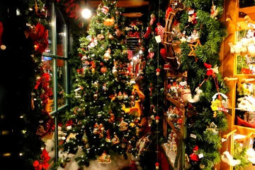 (fot.Maria Kądzielska)