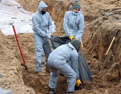 Miniatura: Bucza wierzchołkiem góry lodowej. Policja...