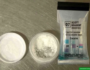 Miniatura: Na wakacje z kokainą. 43-letnia Polka...