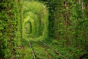 Tunel Miłości, Ukraina (fot. epicdash.com)