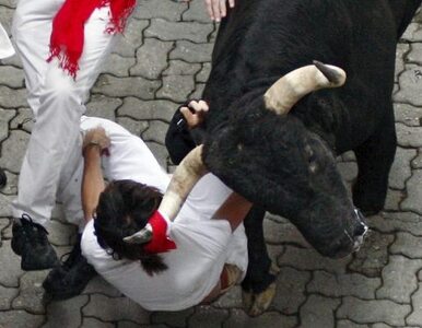 Miniatura: Sześć ofiar gonitwy z bykami w Pampelunie