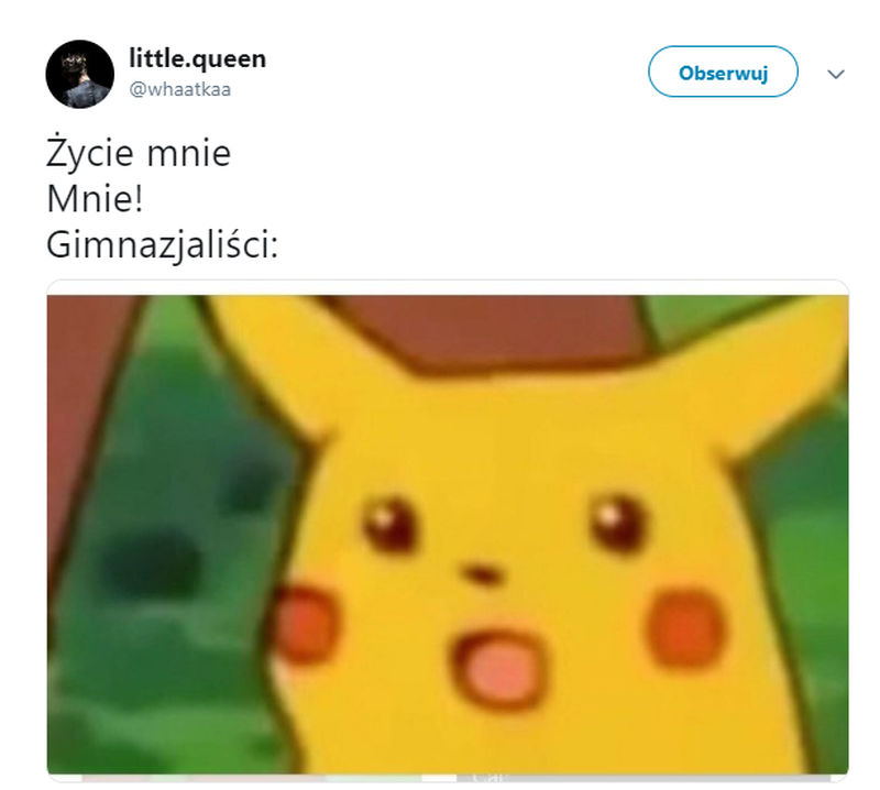 Mem po egzaminie gimnazjalnym z języka polskiego 