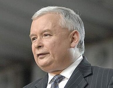 Miniatura: Kaczyński: to Tusk jest odpowiedzialny za...