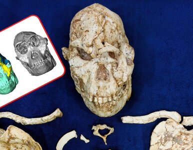 Miniatura: Naukowcy zrekonstruowali twarz „Małej...