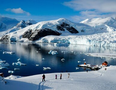 Miniatura: Turystyka na Antarktydzie coraz...