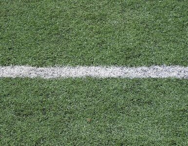 Miniatura: UEFA uczy nas jak kosić trawę
