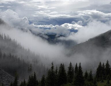 Miniatura: Tatry: TOPR poszukuje zaginionych turystów