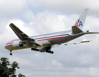 Miniatura: American Airlines zwalnia 13 tys. pracowników