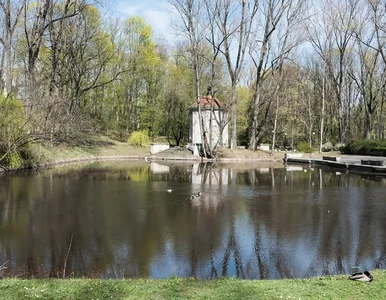 Miniatura: Ten park był kiedyś ogrodem księcia....