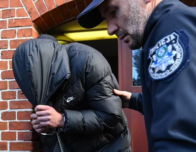 Miniatura: Potrącił czterech chłopców i uciekł. Nowe...