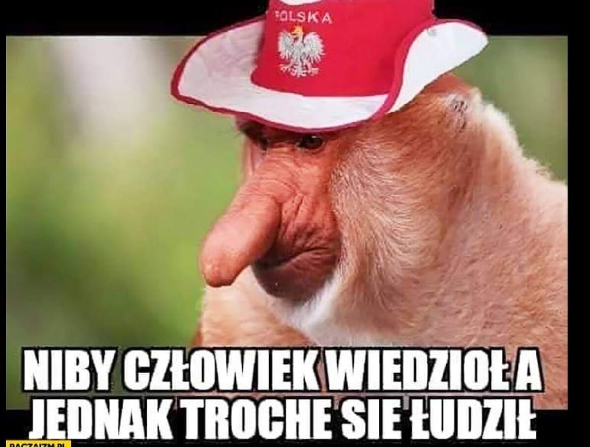 Mem po meczu Polska – Szwecja 