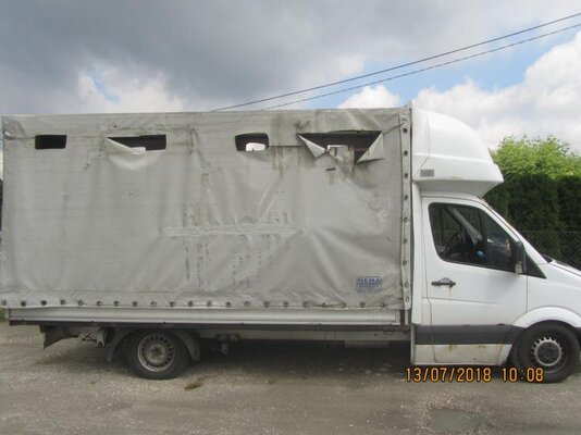 Miniatura: Przewoził pięć koni w samochodzie dostawczym