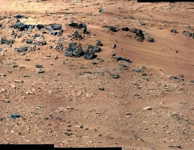 Miniatura: Grecy wymyślili jak... hodować szpinak na...