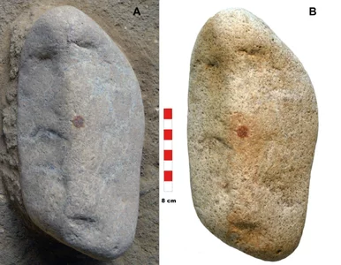 Miniatura: Znaleziono odcisk sprzed 43 tys. lat....