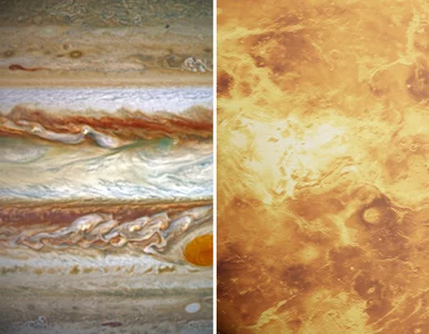 Miniatura: Przed nami „najpiękniejsze zjawisko...