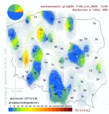 Mapa grzyb&oacute;w