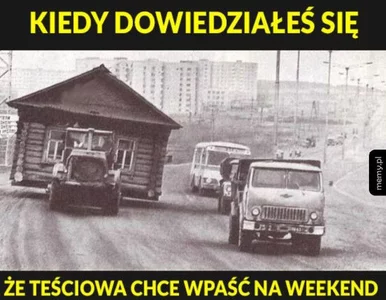 Miniatura: Dzisiaj Dzień Teściowej. Zobacz najlepsze...