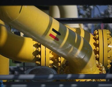 Miniatura: Gazprom chce transportować gaz z...