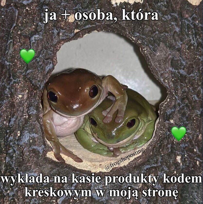 Mem frogshoposting 