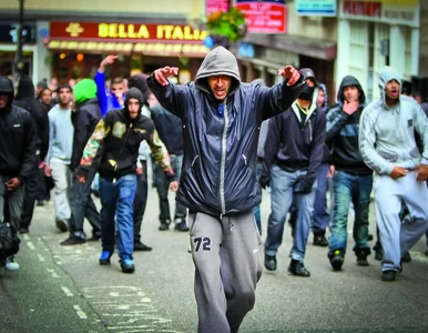 Miniatura: Cień kalifatu. Najpopularniejsze...