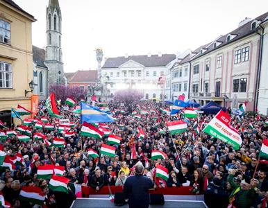 Miniatura: Politycy PiS pojechali wspierać Orbana....