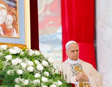 Miniatura: Ojciec Święty z poruszającym przesłaniem....