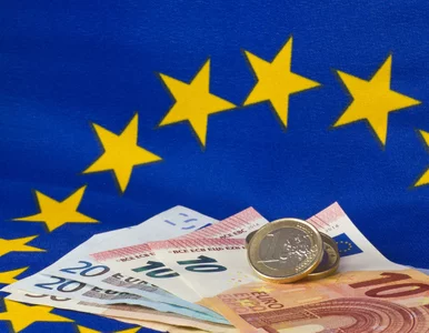 Miniatura: Fundusze do wzięcia. UE promuje dziedziny...