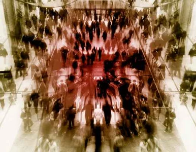 Miniatura: Zatrzymany za kradzież po godzinie... znów...