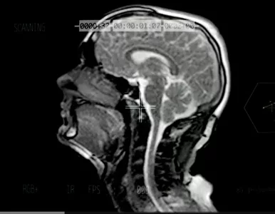 Miniatura: Bóg się rodzi w mózgu