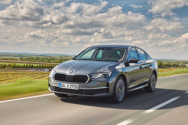 Miniatura: Škoda Octavia RS