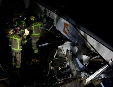 Miniatura: Kolejna katastrofa kolejowa w Hiszpanii....