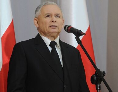 Miniatura: Kaczyński: media znów będą polskie