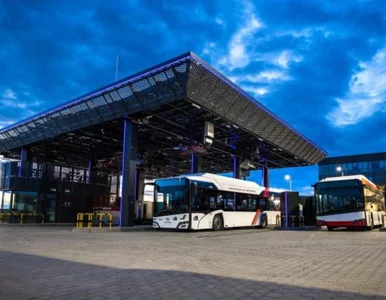 Miniatura: Przybywa ekologicznych autobusów. Ale to...