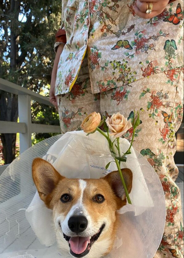 Emily Ratajkowski zorganizowała ślub swojemu psu 