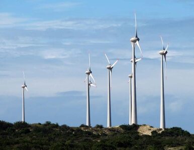 Miniatura: RWE inwestuje w energię z wiatru